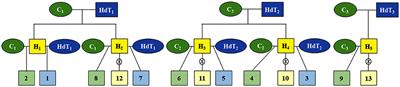 Early Selection Enabled by the Implementation of Genomic Selection in Coffea arabica Breeding